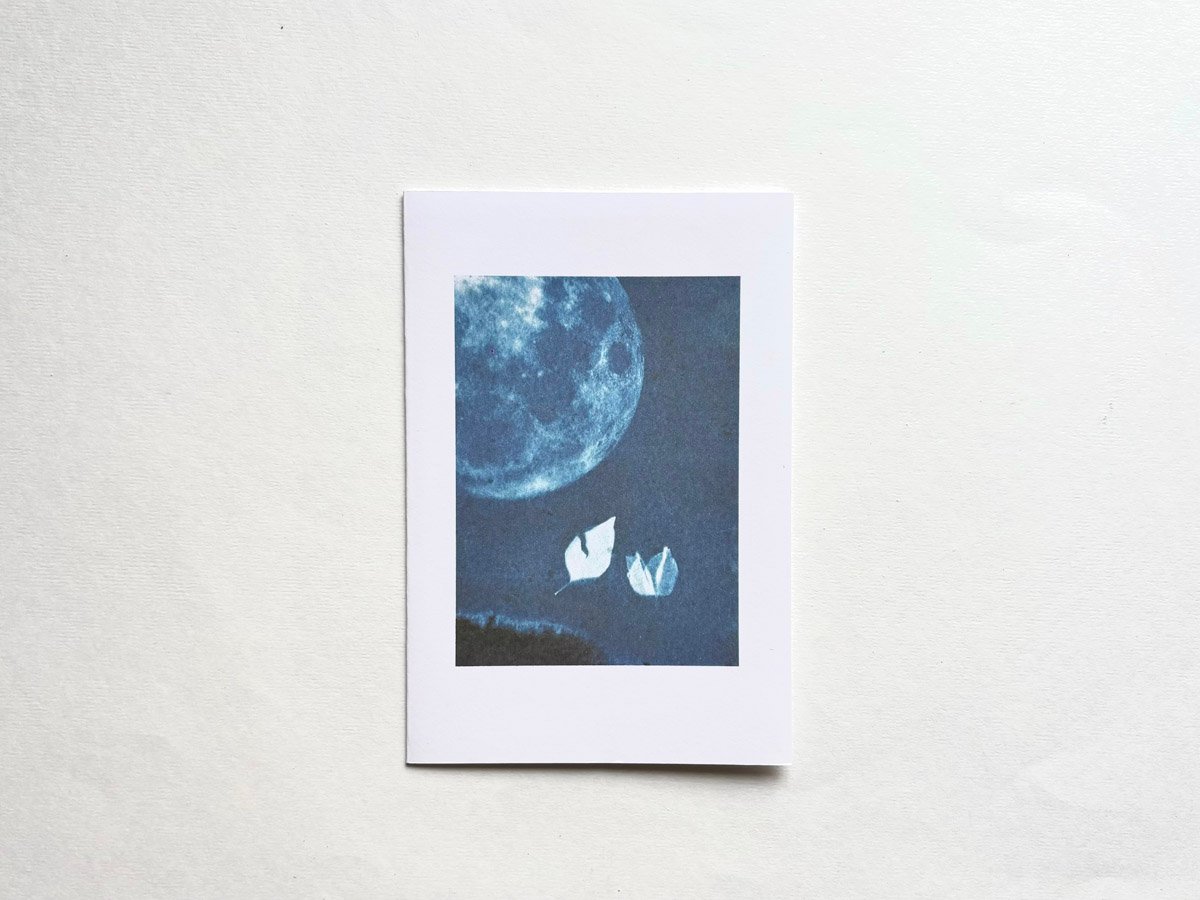 SUN & MOON CARDS (SET OF 2) Decluttercat 6 Sun and Moon Cards - Sun Printed Lunar Cards - Decluttercat - 3