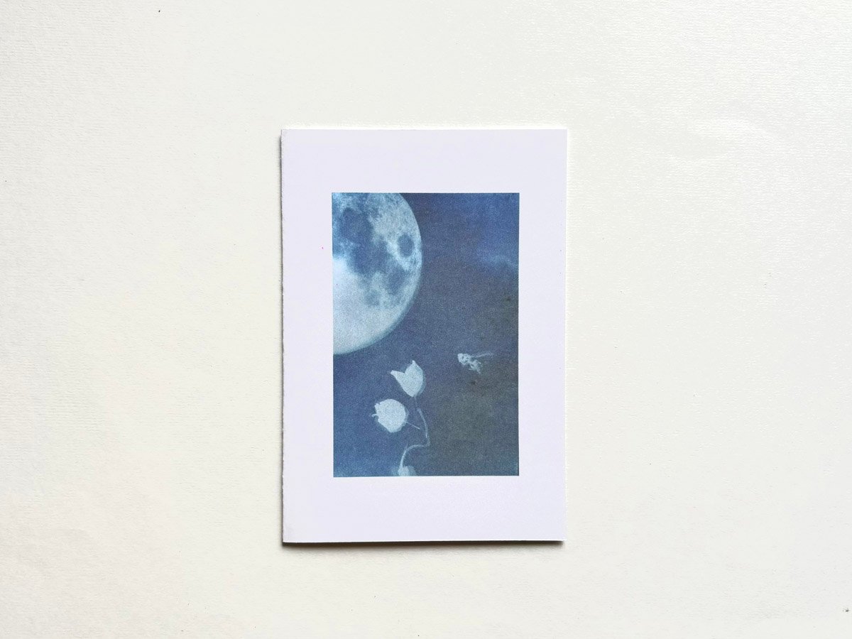 SUN & MOON CARDS (SET OF 2) Decluttercat 4 Sun and Moon Cards - Sun Printed Lunar Cards - Decluttercat - 5